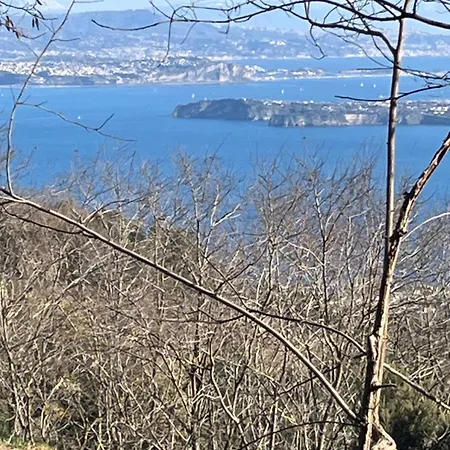 ホテル ポッジオ アラゴスタ ホテル＆スパ