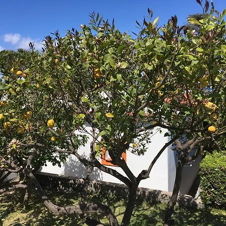 ポッジオ アラゴスタ ホテル＆スパ カザミッチョラ・テルメ