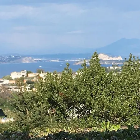 ポッジオ アラゴスタ ホテル＆スパ 4*