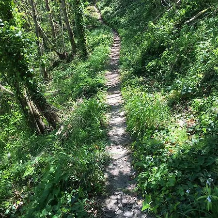 ポッジオ アラゴスタ ホテル＆スパ 4* カザミッチョラ・テルメ