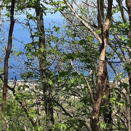 ホテル ポッジオ アラゴスタ ホテル＆スパ カザミッチョラ・テルメ