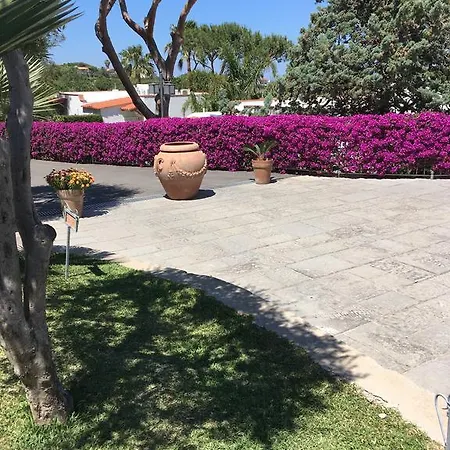 Hotel Poggio Aragosta & 4*