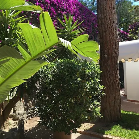 Hotel Poggio Aragosta & 4*