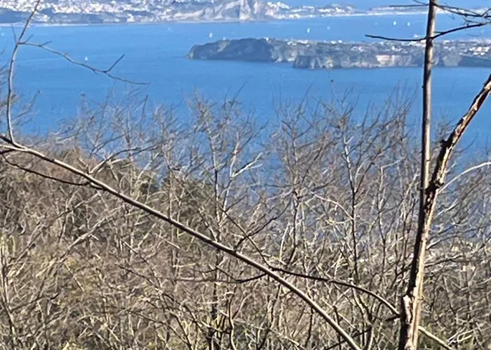 Hotel Poggio Aragosta &