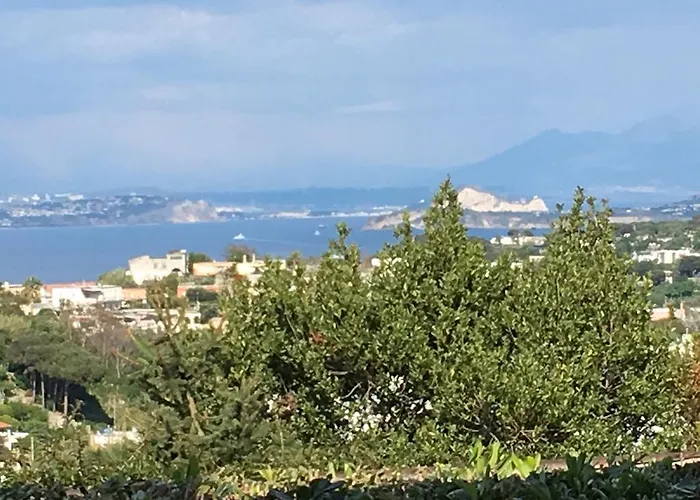 Poggio Aragosta & 4*