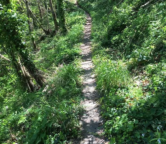 Poggio Aragosta & 4* Casamicciola Terme