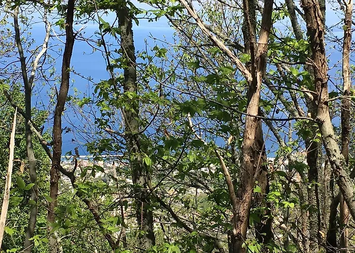 Hotel Poggio Aragosta & Casamicciola Terme