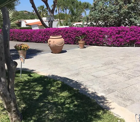 Hotel Poggio Aragosta & 4*