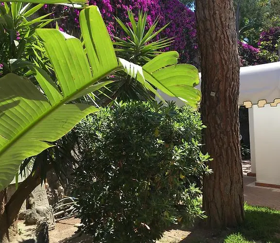 Hotel Poggio Aragosta & 4*