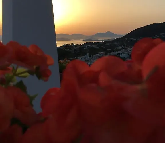 Hotel Poggio Aragosta & Casamicciola Terme